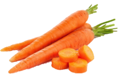 Garden Fresh Carrots